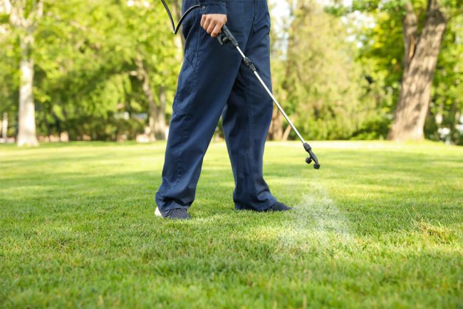 benefits-ecofriendly-pest-control benefits of ecofriendly pest control